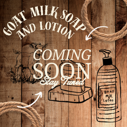 Goat Milk Soap and Lotion (250 x 250 px) (1).png