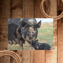 Peppa and piglet  (250 x 250 px).png