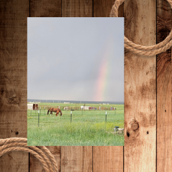 horse and rainbow (250 x 250 px).png